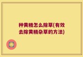 种黄精怎么除草(有效去除黄精杂草的方法)