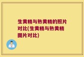 生黄精与熟黄精的照片对比(生黄精与熟黄精图片对比)