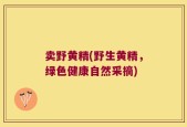 卖野黄精(野生黄精，绿色健康自然采摘)