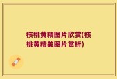 核桃黄精图片欣赏(核桃黄精美图片赏析)
