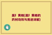 属阝黄精(属阝黄精的药材功效与用途详解)