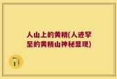 人山上的黄精(人迹罕至的黄精山神秘显现)