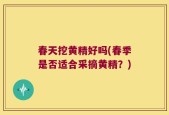 春天挖黄精好吗(春季是否适合采摘黄精？)