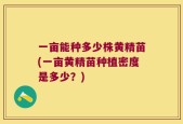 一亩能种多少株黄精苗(一亩黄精苗种植密度是多少？)