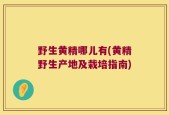 野生黄精哪儿有(黄精野生产地及栽培指南)