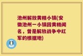 池州解放黄精小镇(安徽池州一小镇因黄精闻名，曾是解放战争中红军的根据地)