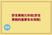 野生黄精几年收(野生黄精的重要生长周期)