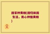 回家种黄精(回归田园 生活，用心种植黄精)