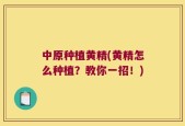 中原种植黄精(黄精怎么种植？教你一招！)