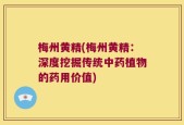 梅州黄精(梅州黄精：深度挖掘传统中药植物的药用价值)