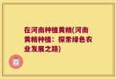 在河南种植黄精(河南黄精种植：探索绿色农业发展之路)