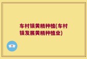 车村镇黄精种植(车村镇发展黄精种植业)