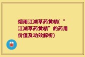 烟雨江湖草药黄精(“江湖草药黄精”的药用价值及功效解析)
