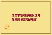江苏有野生黄精(江苏发现珍稀野生黄精)