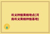 巩义种植黄精地点(河南巩义黄精种植基地)