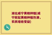 湖北咸宁黄精种植(咸宁掀起黄精种植热潮，农民增收受益)