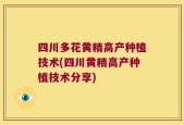 四川多花黄精高产种植技术(四川黄精高产种植技术分享)