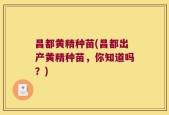 昌都黄精种苗(昌都出产黄精种苗，你知道吗？)
