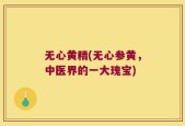 无心黄精(无心参黄，中医界的一大瑰宝)