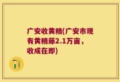 广安收黄精(广安市现有黄精藤2.1万亩，收成在即)