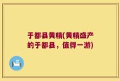 于都县黄精(黄精盛产的于都县，值得一游)