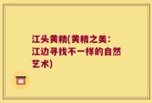 江头黄精(黄精之美：江边寻找不一样的自然艺术)