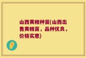山西黄精种苗(山西出售黄精苗，品种优良，价格实惠)
