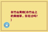 白竹山黄精(白竹山上的黄精草，你见过吗？)