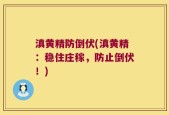 滇黄精防倒伏(滇黄精：稳住庄稼，防止倒伏！)