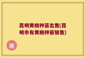 昆明黄精种苗出售(昆明市有黄精种苗销售)