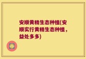 安顺黄精生态种植(安顺实行黄精生态种植，益处多多)