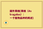 国外黄精(黄精（Astragalus）：一个植物品种的概述)