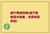 咸宁黄精种苗(咸宁黄精苗木销售，优质种苗供应)