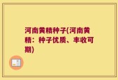 河南黄精种子(河南黄精：种子优质、丰收可期)