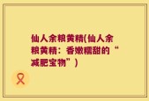 仙人余粮黄精(仙人余粮黄精：香嫩糯甜的“减肥宝物”)