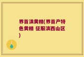 界首滇黄精(界首产特色黄精 征服滇西山区)