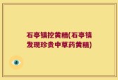 石亭镇挖黄精(石亭镇发现珍贵中草药黄精)