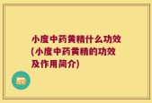 小度中药黄精什么功效(小度中药黄精的功效及作用简介)