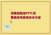 滇黄精栽培PPT(滇黄精高效栽培技术介绍)