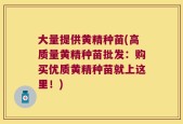 大量提供黄精种苗(高质量黄精种苗批发：购买优质黄精种苗就上这里！)