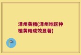 泽州黄精(泽州地区种植黄精成效显著)