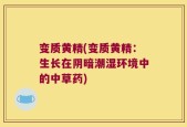 变质黄精(变质黄精：生长在阴暗潮湿环境中的中草药)