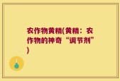 农作物黄精(黄精：农作物的神奇“调节剂”)