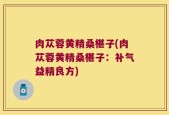 肉苁蓉黄精桑椹子(肉苁蓉黄精桑椹子：补气益精良方)