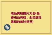 成品黄精图片大全(品鉴成品黄精，全景展现黄精的美妙世界)