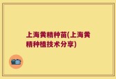 上海黄精种苗(上海黄精种植技术分享)
