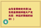 山东省黄精史光密(山东陵县黄精种植大户史光密：种出好黄精的秘诀！)