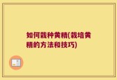 如何栽种黄精(栽培黄精的方法和技巧)