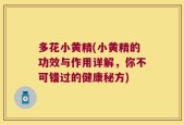 多花小黄精(小黄精的功效与作用详解，你不可错过的健康秘方)