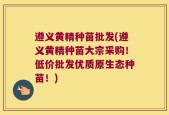 遵义黄精种苗批发(遵义黄精种苗大宗采购！低价批发优质原生态种苗！)